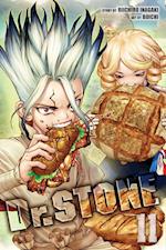 Dr. STONE, Vol. 11