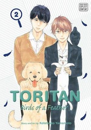 Toritan