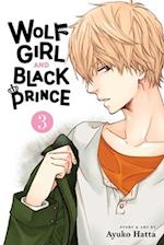 Wolf Girl and Black Prince, Vol. 3