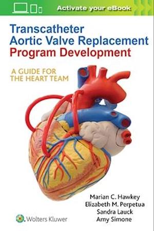 Transcatheter Aortic Valve Replacement Program Development