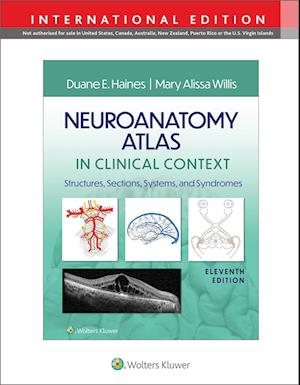 Neuroanatomy Atlas in Clinical Context