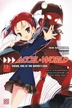 Accel World, Vol. 13 (light novel)