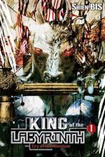 King of the Labyrinth, Vol. 1 (light novel)