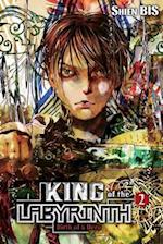 King of the Labyrinth, Vol. 2 (light novel)