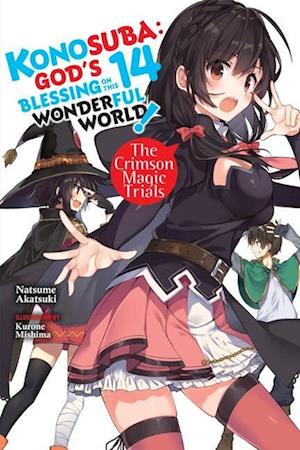 Konosuba: God's Blessing on This Wonderful World!, Vol. 14 light novel