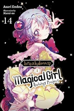 Magical Girl Raising Project, Vol. 14 (light novel)