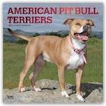 American Pit Bull Terriers 2019 - 18-Monatskalender mit freier DogDays-App