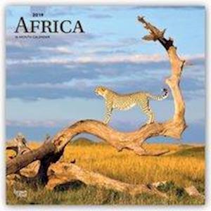 Africa 2019 Square Wall Calendar