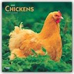 Chickens - Hühner 2020 - 18-Monatskalender