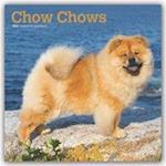 Chow Chows 2020 - 18-Monatskalender mit freier DogDays-App