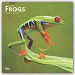 Frogs - Frösche 2020 - 18-Monatskalender
