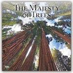 The Majesty of Trees - Majestätische Bäume 2020 - 18-Monatskalender