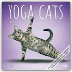 Yoga Cats - Joga-Katzen 2020 - 18-Monatskalender