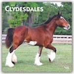 Clydesdales - Clydesdale Pferde 2020 - 18-Monatskalender