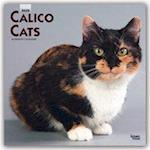 Calico Cats - Schildpatt Katzen 2020 - 18-Monatskalender