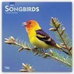 Songbirds - Singvögel 2021 - 18-Monatskalender