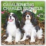 Cavalier King Charles Spaniels 2021 - 18-Monatskalender