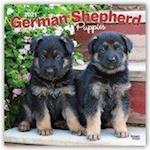 German Shepherd Puppies - Deutsche Schäferhunde - Welpen 2021 - 18-Monatskalender mit freier DogDays-App