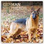 GERMAN SHEPHERDS 2021 SQUARE FOIL