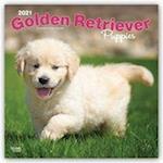 Golden Retriever Puppies - Golden Retriever-Welpen 2021 - 18-Monatskalender mit freier DogDays-App