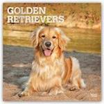 Golden Retrievers 2021 - 18-Monatskalender mit freier DogDays-App