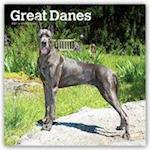 Great Danes - Dänische Doggen 2021 - 18-Monatskalender mit freier DogDays-App