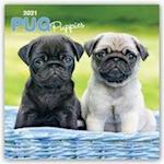 Pug Puppies - Mopswelpen 2021 - 18-Monatskalender mit freier DogDays-App