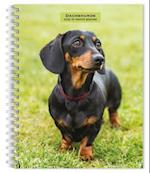 Dachshunds 2025 6 X 7.75 Inch Spiral-Bound Wire-O Weekly Engagement Planner Calendar New Full-Color Image Every Week