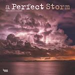 A Perfect Storm 2025 12 X 24 Inch Monthly Square Wall Calendar Foil Stamped Cover Plastic-Free