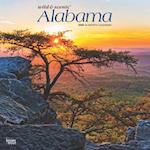 Alabama Wild & Scenic 2025 12 X 24 Inch Monthly Square Wall Calendar Plastic-Free