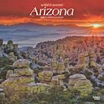 Arizona Wild & Scenic 2025 12 X 24 Inch Monthly Square Wall Calendar Plastic-Free
