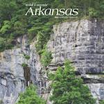 Arkansas Wild & Scenic 2025 12 X 24 Inch Monthly Square Wall Calendar Plastic-Free