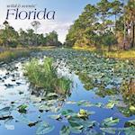 Florida Wild & Scenic 2025 12 X 24 Inch Monthly Square Wall Calendar Plastic-Free