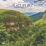 Georgia Wild & Scenic 2025 12 X 24 Inch Monthly Square Wall Calendar Plastic-Free