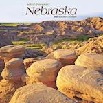 Nebraska Wild & Scenic 2025 12 X 24 Inch Monthly Square Wall Calendar Plastic-Free
