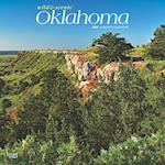 Oklahoma Wild & Scenic 2025 12 X 24 Inch Monthly Square Wall Calendar Plastic-Free