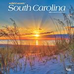 South Carolina Wild & Scenic 2025 12 X 24 Inch Monthly Square Wall Calendar Plastic-Free
