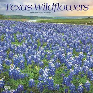 Texas Wildflowers 2025 12 X 24 Inch Monthly Square Wall Calendar Plastic-Free