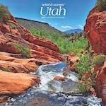 Utah Wild & Scenic 2025 12 X 24 Inch Monthly Square Wall Calendar Plastic-Free