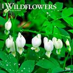 Wildflowers 2025 12 X 24 Inch Monthly Square Wall Calendar Plastic-Free
