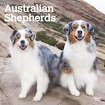 Australian Shepherds 2025 12 X 24 Inch Monthly Square Wall Calendar Plastic-Free