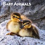 Baby Animals 2025 12 X 24 Inch Monthly Square Wall Calendar Plastic-Free