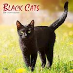 Black Cats 2025 12 X 24 Inch Monthly Square Wall Calendar Foil Stamped Cover Plastic-Free