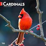 Cardinals 2025 12 X 24 Inch Monthly Square Wall Calendar Plastic-Free