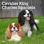Cavalier King Charles Spaniels 2025 12 X 24 Inch Monthly Square Wall Calendar Plastic-Free