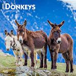 Donkeys 2025 12 X 24 Inch Monthly Square Wall Calendar Plastic-Free