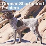 German Shorthaired Pointers 2025 12 X 24 Inch Monthly Square Wall Calendar Plastic-Free