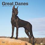 Great Danes 2025 12 X 24 Inch Monthly Square Wall Calendar Plastic-Free