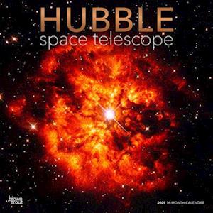 Hubble Space Telescope 2025 12 X 24 Inch Monthly Square Wall Calendar Foil Stamped Cover Plastic-Free