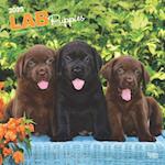Labrador Retriever Puppies 2025 12 X 24 Inch Monthly Square Wall Calendar Plastic-Free